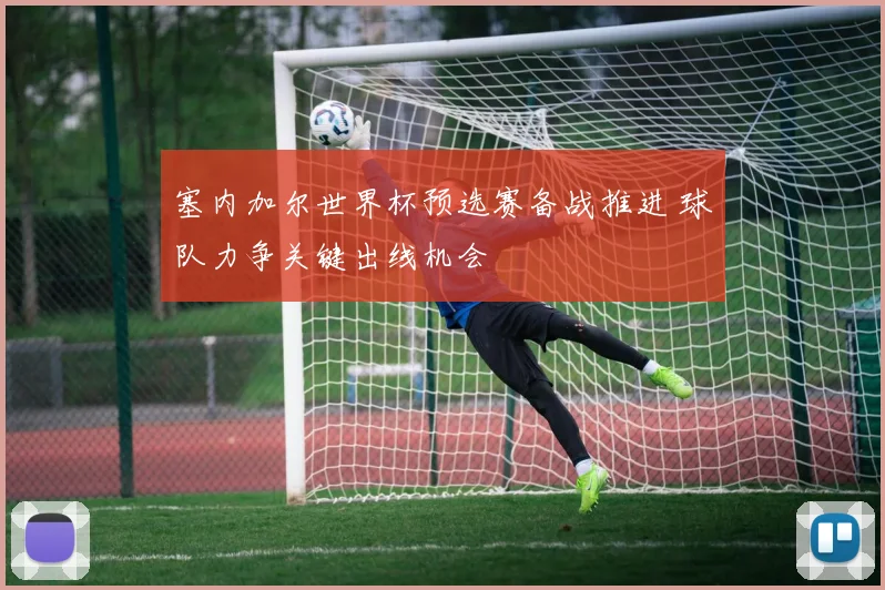 塞内加尔世界杯预选赛备战推进 球队力争关键出线机会