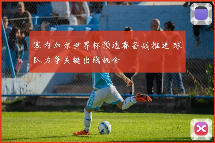 塞内加尔世界杯预选赛备战推进 球队力争关键出线机会