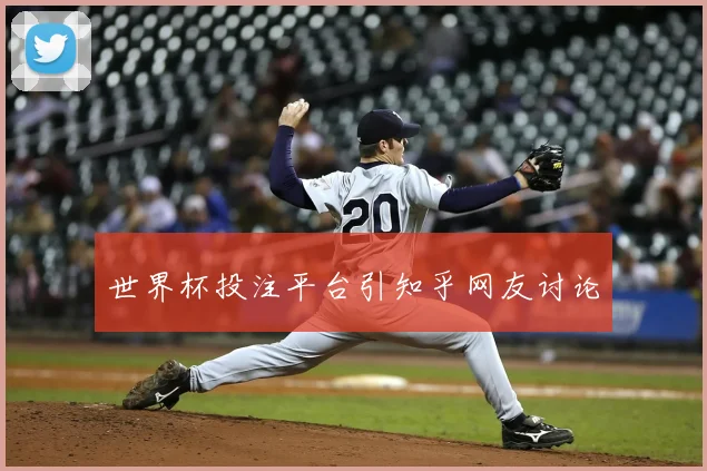 世界杯投注平台引知乎网友讨论